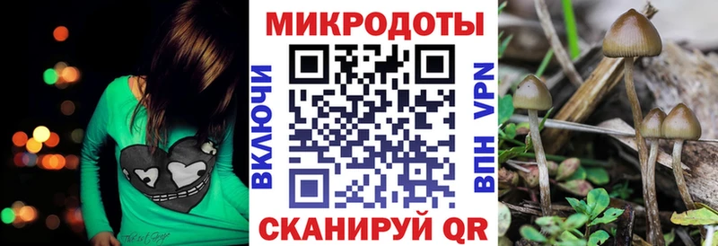Галлюциногенные грибы Cubensis  Алагир 