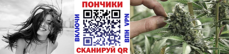 Конопля Ganja  Алагир 